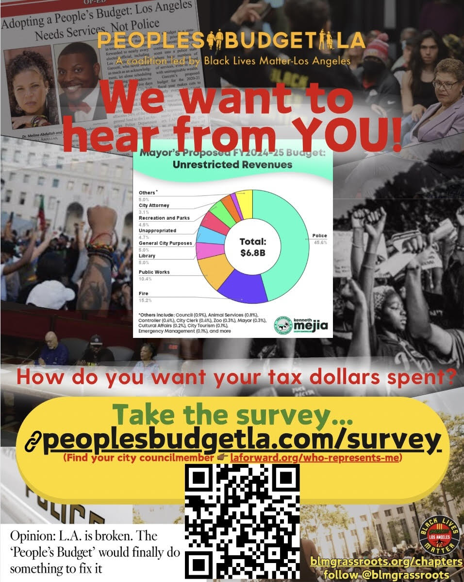 PEOPLES BUDGET LA SURVEY