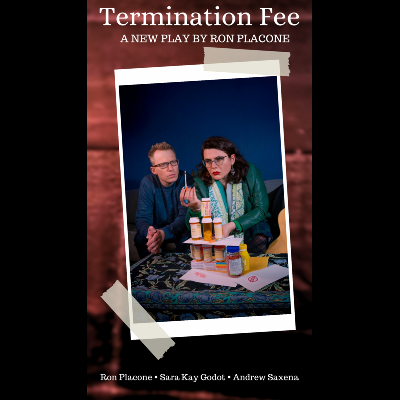 Termination Fee: A New Play and Scathing Commentary on the American healthcare System