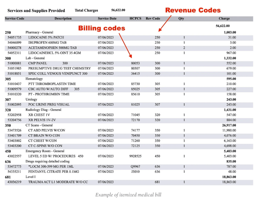 A 9-Point Checklist for Challenging Hospital Overcharges [Walter Kerr ...